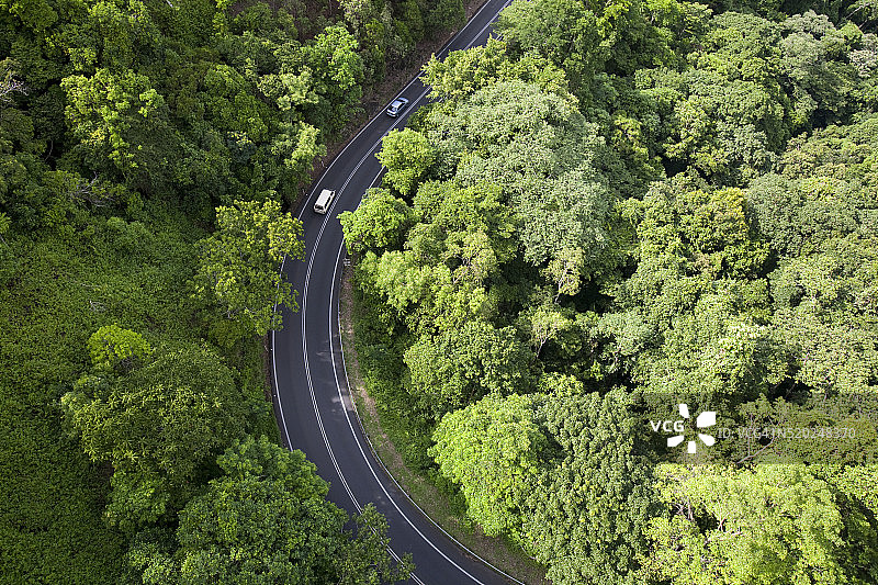 丹特里雨林公路图片素材