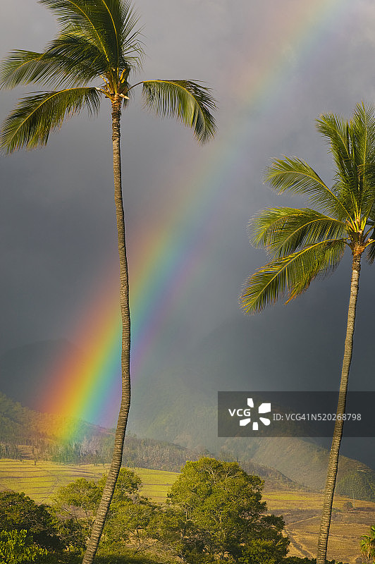 拉海纳附近的彩虹图片素材
