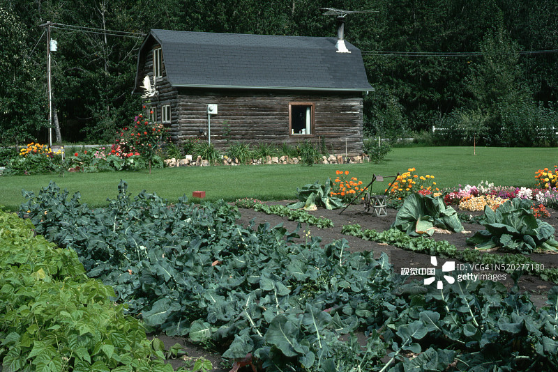 菜园图片素材