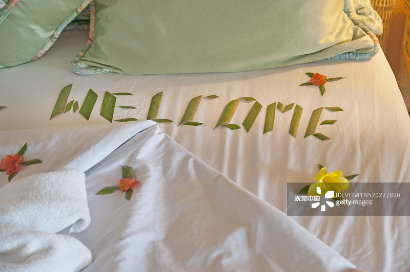 可可礁度假村酒店房间，多巴哥，皇冠角图片素材