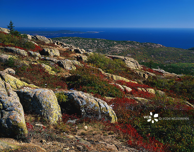 凯迪拉克山的花岗岩露头图片素材