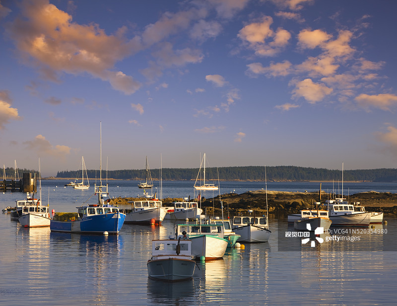 停泊在伯纳德附近巴斯港的渔船图片素材