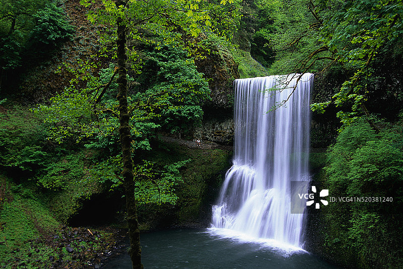 银瀑州立公园瀑布图片素材