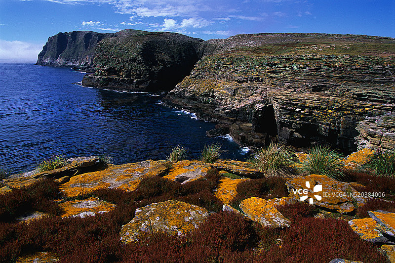 覆盖着地衣的海岸岩石图片素材
