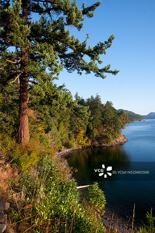 华盛顿州圣胡安群岛的奥卡斯岛海岸图片素材