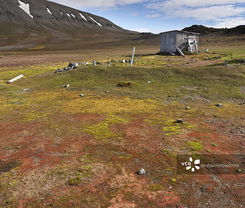 斯瓦尔巴特群岛苔藓和老木屋的北极苔原（挪威）图片素材