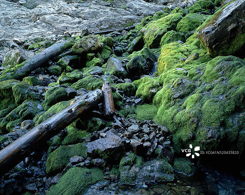 低流量周期性泉水图片素材
