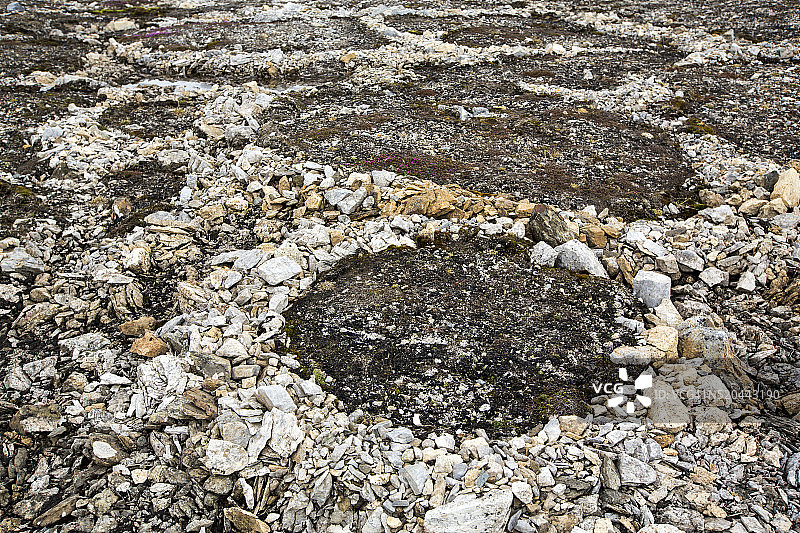 斯匹次卑尔根群岛高北极地区冻土上的图案地面和石圈图片素材