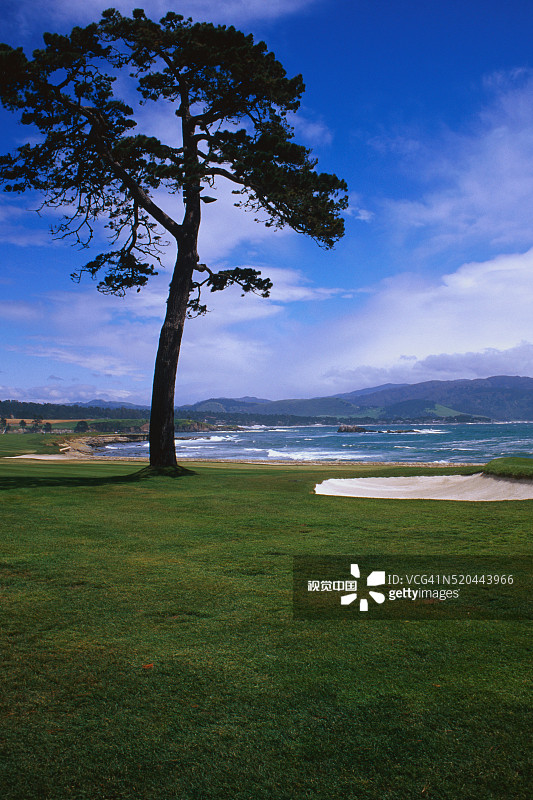 圆石滩高尔夫球场图片素材