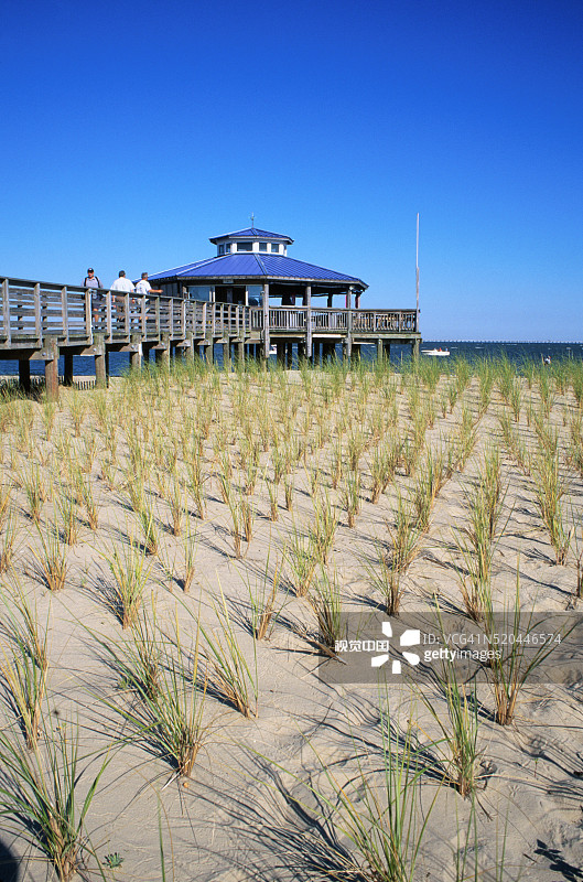 沙丘草修复项目图片素材