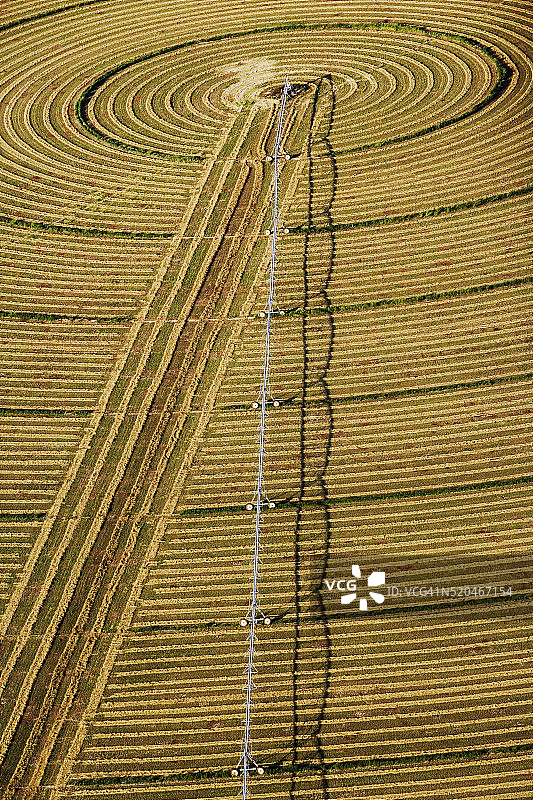 麦田怪圈图片素材
