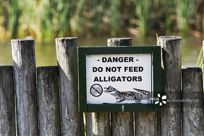 请勿喂鳄鱼警告标志图片素材