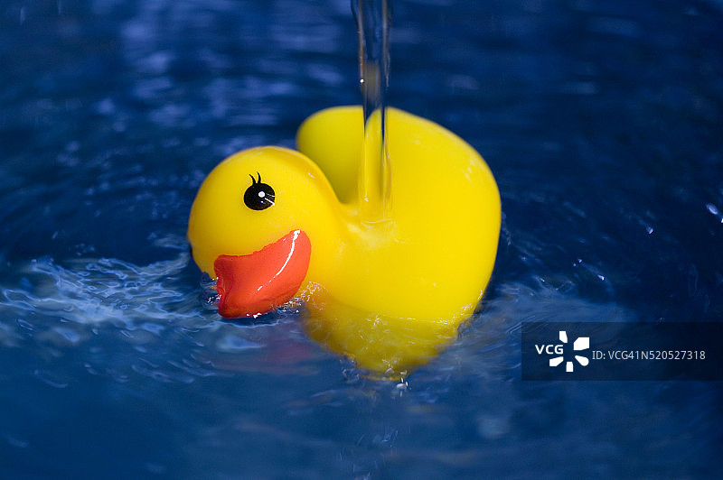 水中的橡胶鸭图片素材