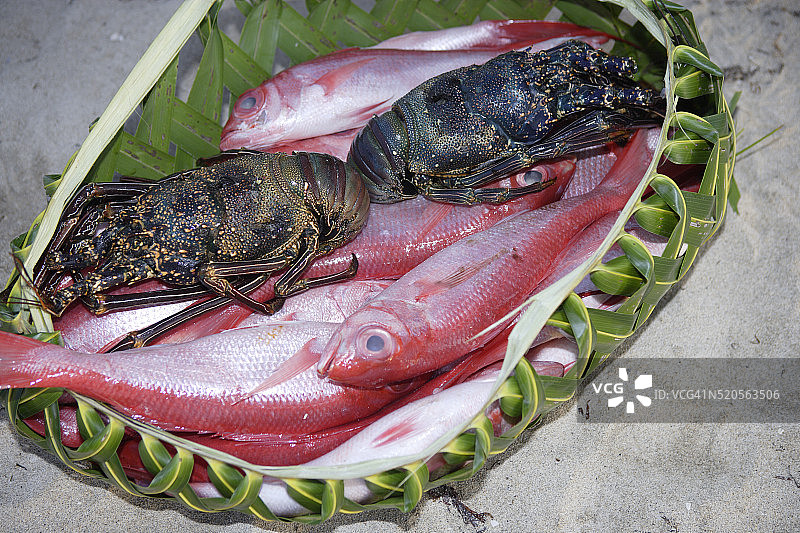 鳌虾和红鲷鱼图片素材