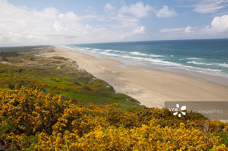 俄勒冈州佛罗伦萨附近的贝克海滩图片素材