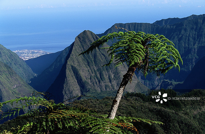 萨拉济冰斗的树蕨与群山图片素材
