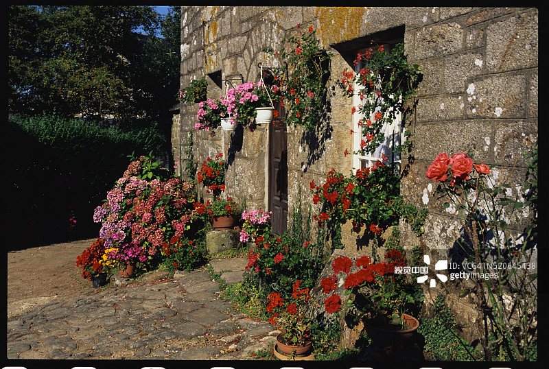 石头房子外面的花朵图片素材