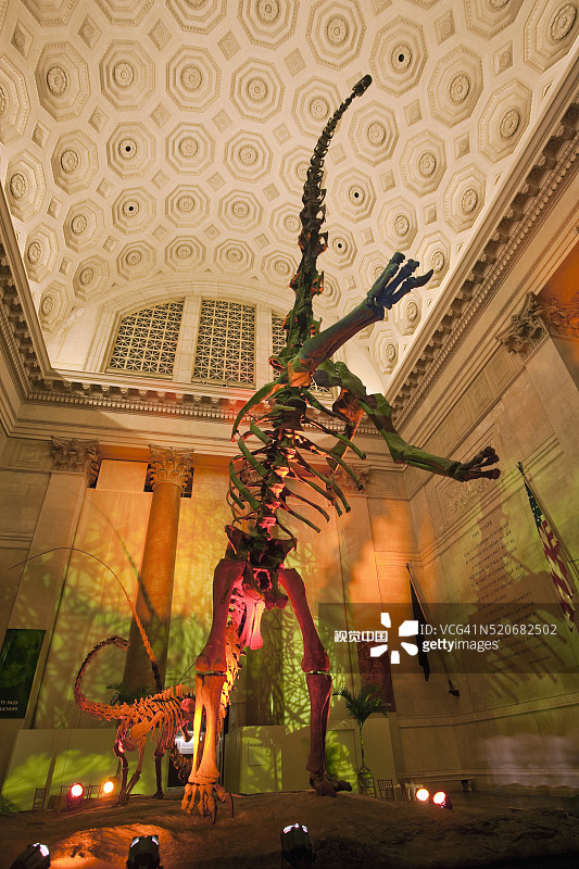 梁龙骨架与入口处彩色灯光图片素材