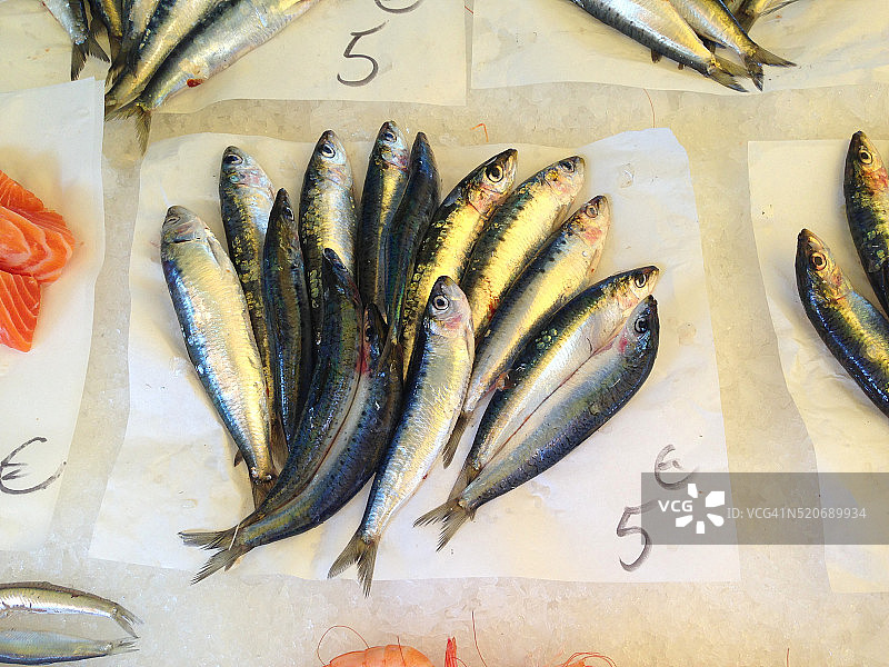 巴黎鱼市的沙丁鱼图片素材