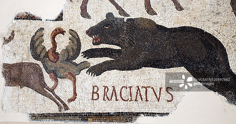 突尼斯巴尔多博物馆的罗马马赛克考古图片素材