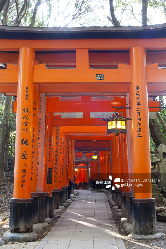 通往鸟居隧道的步行道图片素材