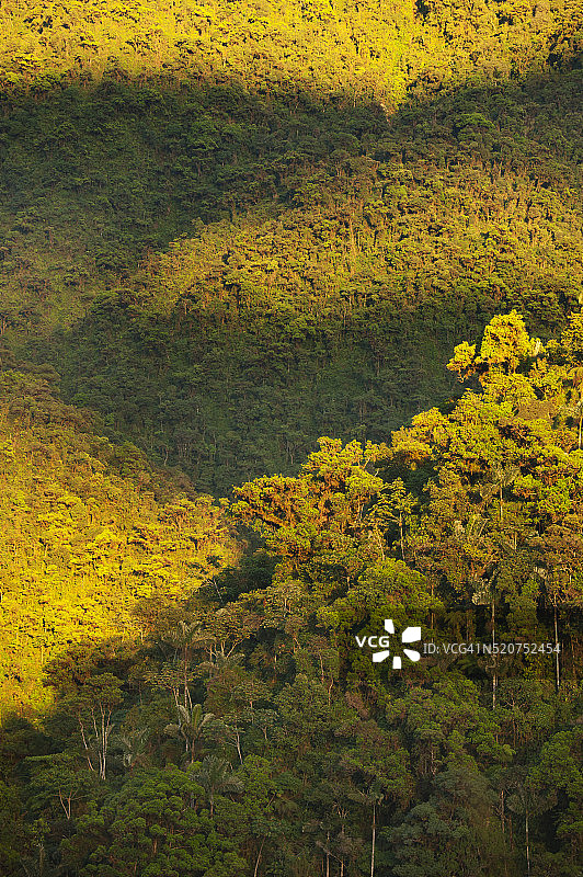 秘鲁马努国家公园阿普卡纳瓦伊山的日出图片素材