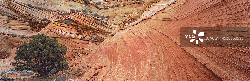土狼丘图片素材