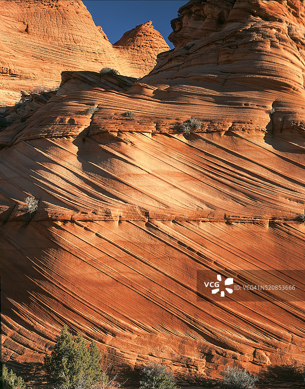 土狼丘图片素材