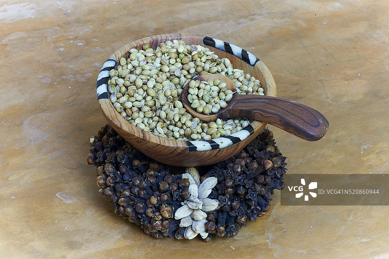 香料园，芫荽图片素材