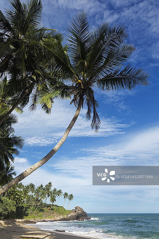 坦加拉棕榈天堂海滩，斯里兰卡图片素材
