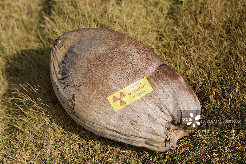 马绍尔群岛比基尼环礁的放射性椰子图片素材