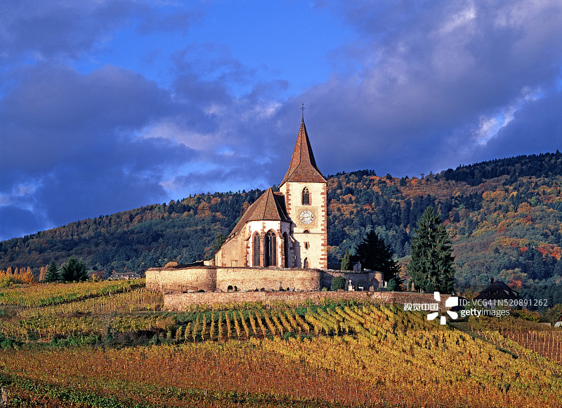 于纳维尔的教堂与葡萄园图片素材