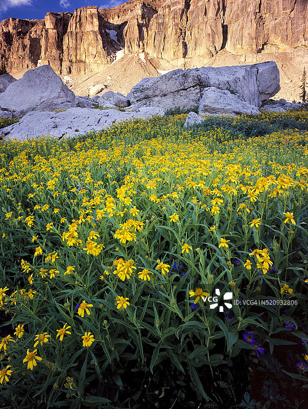 美国怀俄明州杰迪代亚·史密斯荒野图片素材