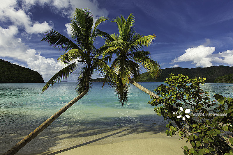 美属维尔京群岛圣约翰马霍湾图片素材