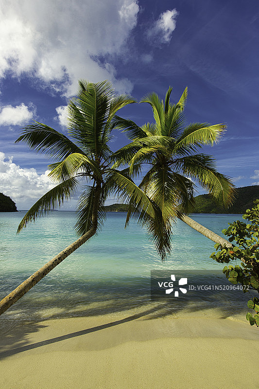 美属维尔京群岛圣约翰马霍湾图片素材