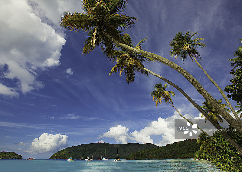 美属维尔京群岛圣约翰马霍湾图片素材