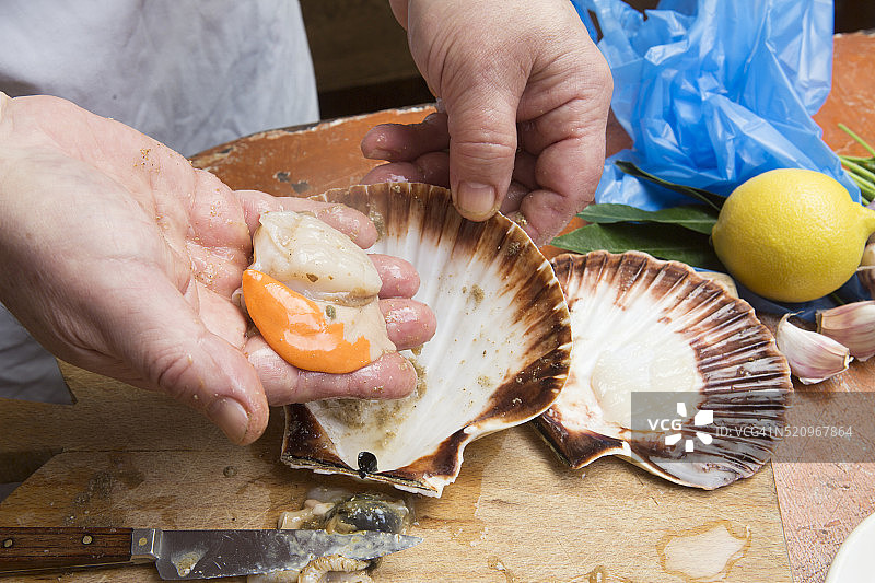 打开并清理扇贝图片素材