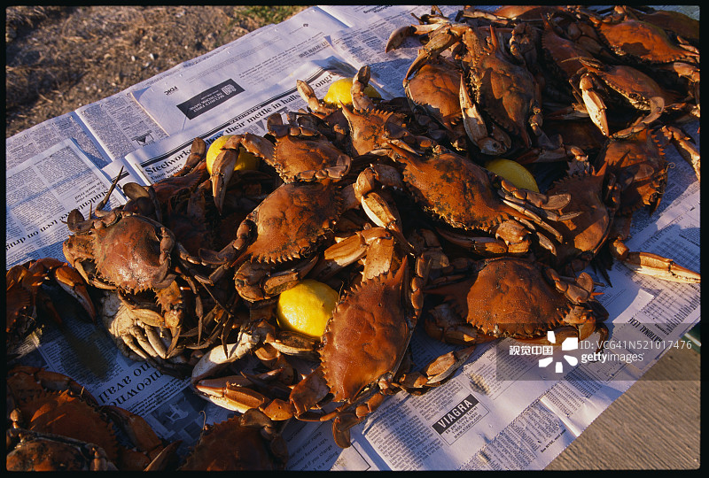 准备下锅的螃蟹图片素材