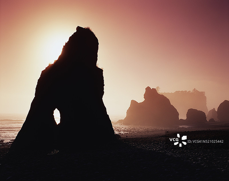 红宝石海滩雾中海蚀柱图片素材