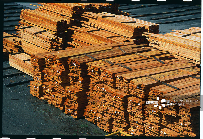 太平洋木材公司的木材堆图片素材