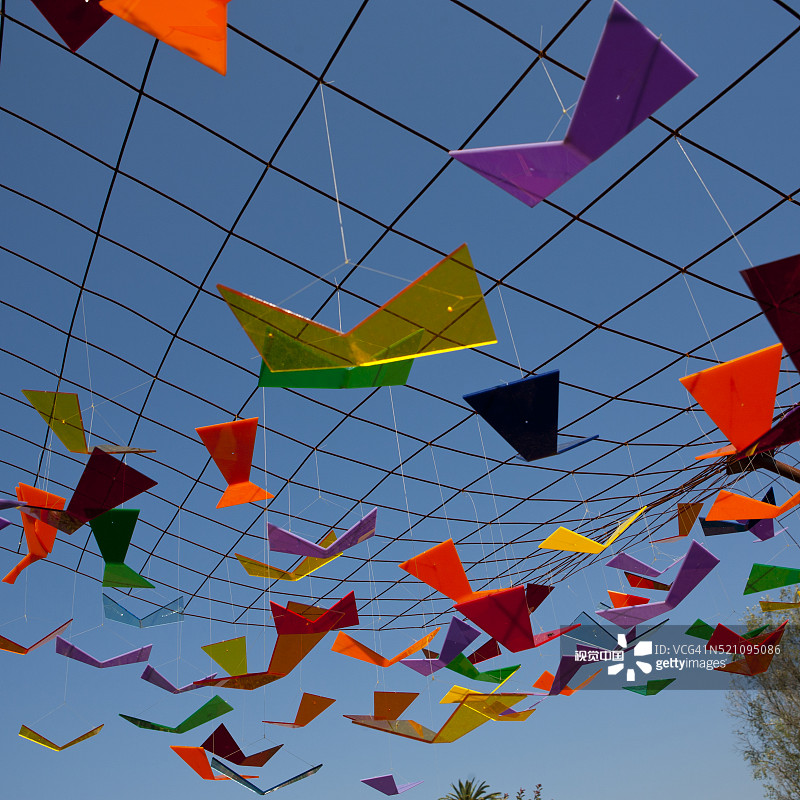 Bracaglia景观建筑师设计的花园和蝴蝶图片素材