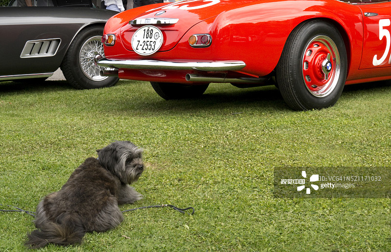 2015意大利科莫湖埃斯特庄园古董车展图片素材