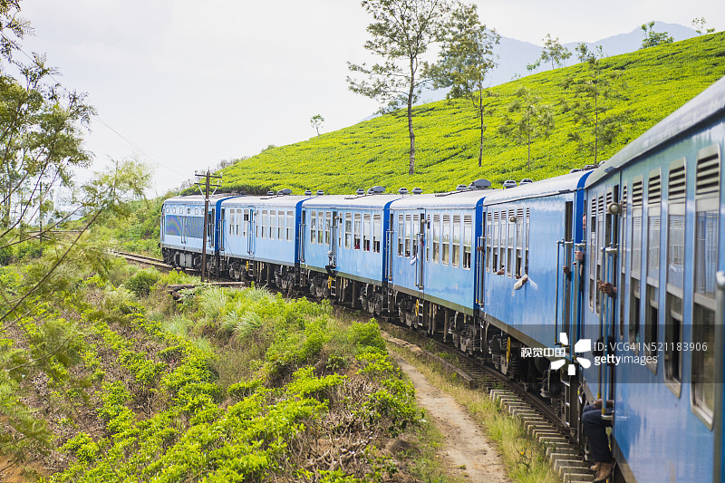 火车经过斯里兰卡努瓦拉埃利亚茶园图片素材