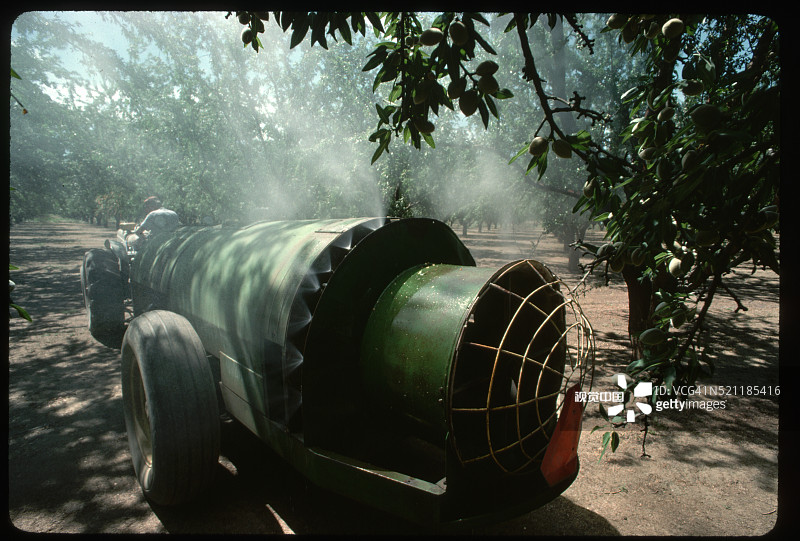 喷洒杏树图片素材