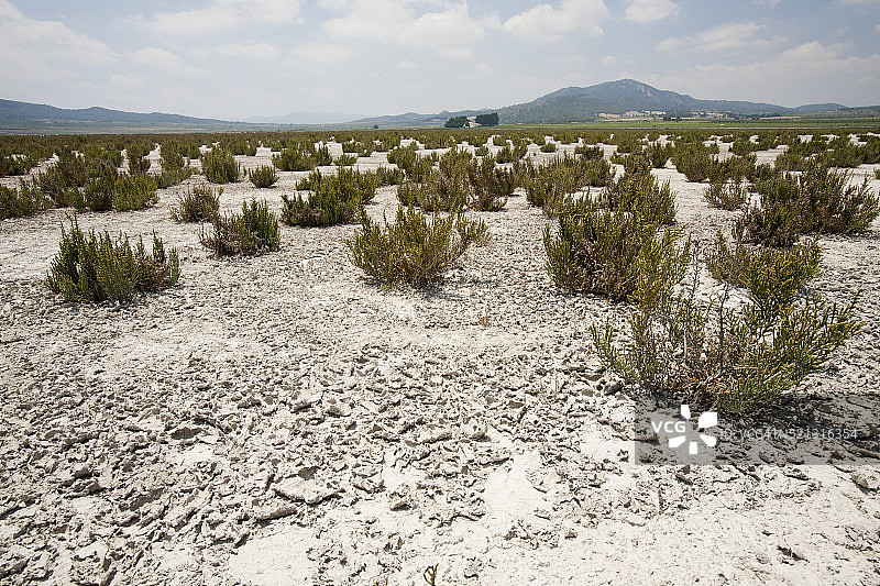 西班牙穆尔西亚萨利纳斯盐湖干涸的湖床图片素材