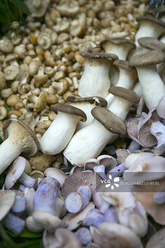 伦敦博罗市场出售的各种新鲜蘑菇图片素材