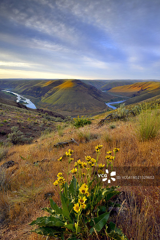 约翰迪河图片素材