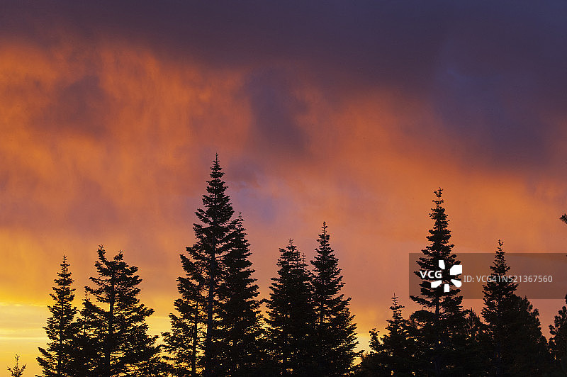 胡德山，喀斯喀特山脉，俄勒冈州的阿尔卑斯树木日出图片素材