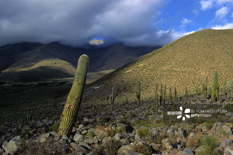图库曼省帕索迪因菲尼洛图片素材