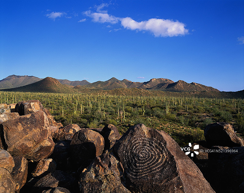 仙人掌国家公园图片素材
